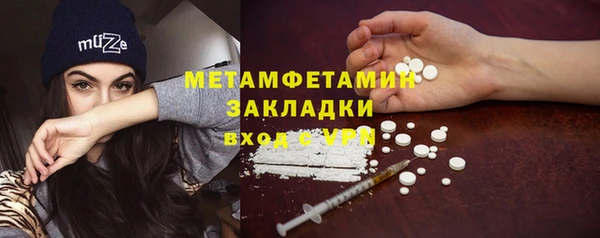 ПСИЛОЦИБИНОВЫЕ ГРИБЫ Строитель