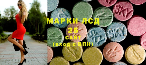 ПСИЛОЦИБИНОВЫЕ ГРИБЫ Строитель