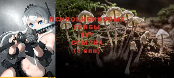 мяу мяу кристалл Елабуга