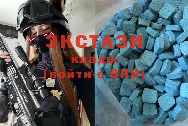 ПСИЛОЦИБИНОВЫЕ ГРИБЫ Строитель