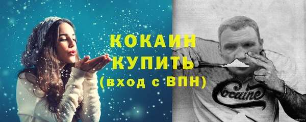 ПСИЛОЦИБИНОВЫЕ ГРИБЫ Строитель