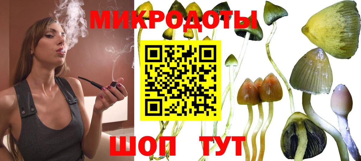 Псилоцибиновые грибы прущие грибы Заречный