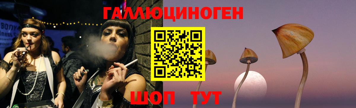 Заречный  Галлюциногенные грибы мицелий  Вход с VPN 